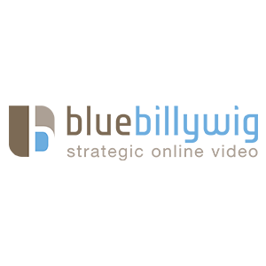 BlueBillywig logo